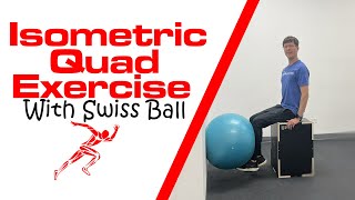 Isometric Quad Exercise With Swiss Ball [upl. by Kellsie]