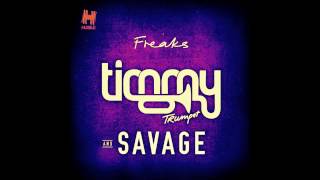 Timmy Trumpet amp Savage  Freaks  Slowed Down [upl. by Tahpos838]