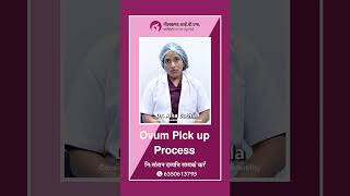 What Is Ovum Pic Up Process eggretrieval [upl. by Haniraz557]