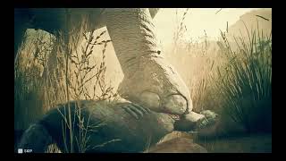 Miocene Elephant Kill All My Clans  Ancestors [upl. by Kyre]