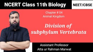 Division of subphylum Vertebrata  Animal Kingdom  NCERT Class 11th Biology NEET  CBSE exam [upl. by Aerbma]