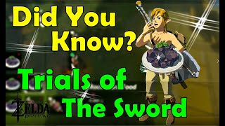 Tips for Trials of The Sword Zelda Breath of The Wild [upl. by Iroj]