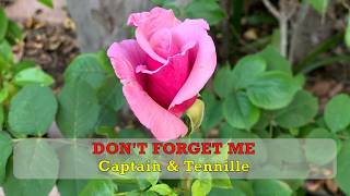 Dont Forget Me  Captain amp Tennille  Lyrics [upl. by Oiramaj]