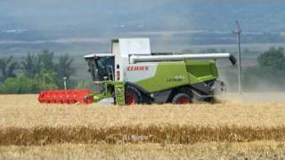 The New Claas Lexion Claas Lexion 670  V900 Harvest in Hungary 2010 [upl. by Yentroc897]