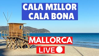 🔴 LIVE from Cala Millor and Cala Bona Mallorca Majorca  5 June 2022 [upl. by Eirdua]