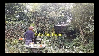 Rear garden cleared using a Has 100 hedge trimmer and Kma 135 with a hedge cutter head [upl. by Leanahtan982]