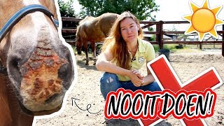 Doe dit NOOIT met je paard in de ZOMER  felinehoi [upl. by Wandie147]