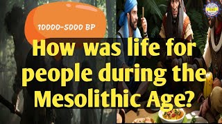 Mesolithic Age In Indiaindianhistory ancientindia upsc [upl. by Halian654]