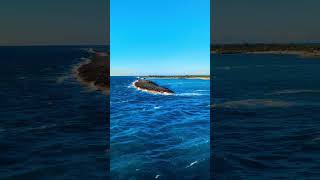 Bye bye Castaway Cay 🫶 bahamas castawaycay disney cruise cruiseship stingray [upl. by Euqnomod750]