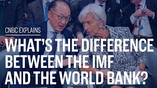 Whats the difference between the IMF and the World Bank  CNBC Explains [upl. by Bardo]