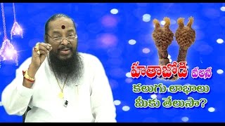 Hatha jodi Uses  హతా జోడి ఉపయోగాలు  DrKAtchi Reddy  OM SHAKTHI TV [upl. by Atat]