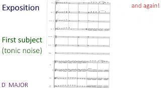 Haydn Symphony No 104 Revision Video  First movement [upl. by Yul131]