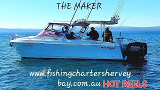 Fishing in Hervey Bay hotreelsprofishcharters6587 [upl. by Hestia75]