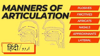 Manners of Articulation  Phonetics [upl. by Deys]