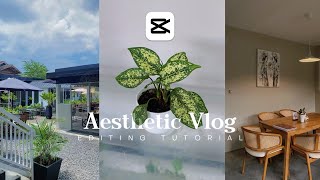 Cara Edit Video Cinematic Vlog Di Capcut  Tutorial Edit Aesthetic Vlog [upl. by Amil132]