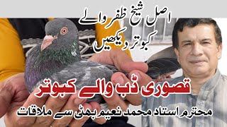 Dab Walay Kabootar by Naeem Bhatti [upl. by Wemolohtrab]