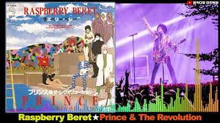 Raspberry Beret★Prince amp The Revolution [upl. by Lerret]