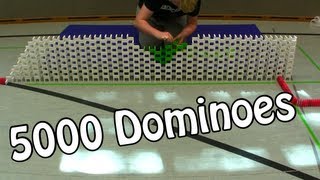 5000 Dominoes  The Never Ending Chain Reaction 003 HD [upl. by Garges291]