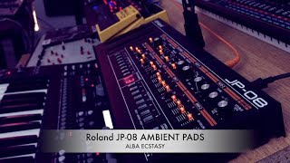 AMBIENT Roland JP08  Neunaber Slate reverb [upl. by Harwell]