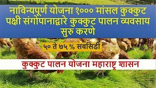 महाराष्ट्र शासनाच्या कुक्कुट पालन योजना भाग १ POULTRY FARMING SCHEME OF MAHARASHTRA GOVERNMENT [upl. by Illoh]