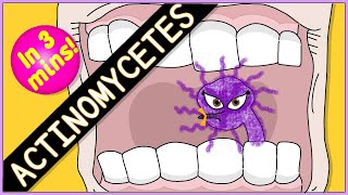 Actinomycetes Microbiology Morphology pathophysiology symptoms diagnosis treatment [upl. by Yenruoc]