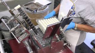 How Capsules are Made [upl. by Camm]