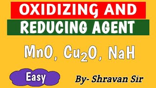 How To Identify Oxidizing And Reducing Agent  Super Easy Trick  Class 11th  JEE  NEET [upl. by Tillo]