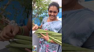 Ma Amma Cheti Vanta  Munakaya Pachadi Recipe shorts trending foodie [upl. by Knah925]