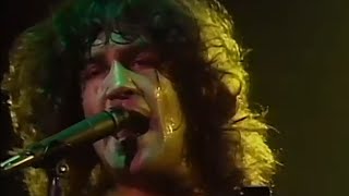 Billy Squier  I Need You  11201981  Santa Monica Civic Auditorium Official [upl. by Aehsat]