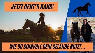 Weg vom Reitplatz Wie du dein Pferd auch im Gelände sinnvoll arbeitest Mit Trainingstipps und All [upl. by Diehl]