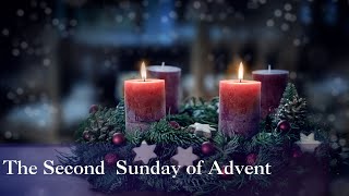 Mass the Second Sunday of Advent 12824 Cycle C [upl. by Ataliah]