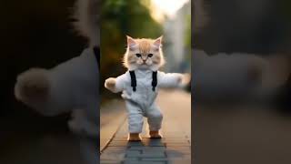 😱😂🤣 viralvideo cats music comedy [upl. by Atokad]