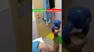 Shoulder InStability ExercisesShoulder painshoulderpaindislocation [upl. by Anelad]