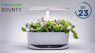 AeroGarden Bounty Heirloom Salad Greens Timelapse [upl. by Led875]