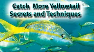 Yellowtail Snapper Fishing Secrets and Techniques [upl. by Anton784]