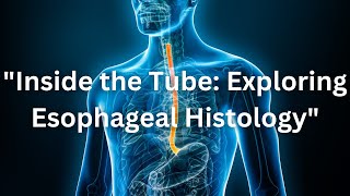 Esophageous  Nutrition amp GIT Module  Systemic Histology [upl. by Alyssa]