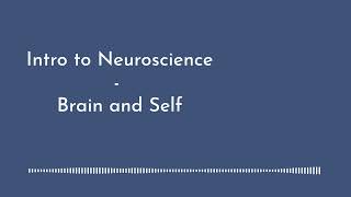 Intro to Neuroscience  Brain and Self [upl. by Meyers]