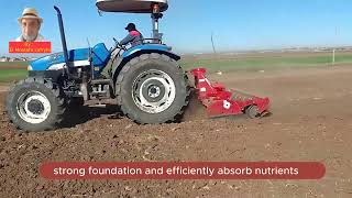 Cultivating Success The Importance of Soil Preparation Before Planting [upl. by Joby]