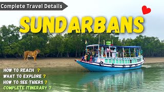 Sundarban Tour  Sundarban Vlog  Sundarban Tour Package Hindi  Sundarban Delta sundarban [upl. by Ettevram]