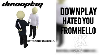 Downplay  Hated You From Hello Unofficial Lyric Video [upl. by Neelia]