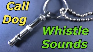 Dog Whistle Sound to Call Dog [upl. by Hgielar]