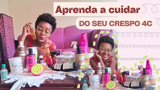 TOP PRODUTOS para CABELO CREPO 4C [upl. by Anastas745]