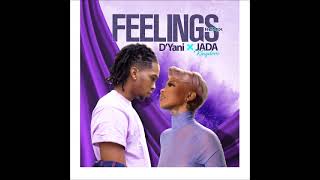 Dj Raphy ft DYani X Jada Kingdom  Feelings Groovy Refix [upl. by Aisanahta]