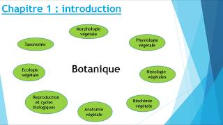 biologie végétale [upl. by Hartfield]