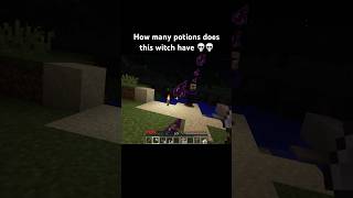 This witches bro minecraft minecraftshorts minecraftmemes shorts funny memes gaming fyp [upl. by Suoivatnod]