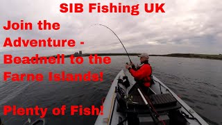 Sib Fishing UK Join the adventure  Beadnell to the Farne Islands  Plenty of Fish [upl. by Neersan]