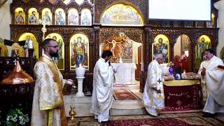 Divine Holy Liturgy  Arabic  28012024 [upl. by Trinatte]