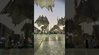 Payung besar Masjid Nabawi Madinah Arab Saudi 🇸🇦 [upl. by Yentrac]