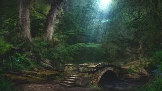 Forest Creek Sounds  3 Hours  Sleep Relax Focus or Meditation [upl. by Neyuq]