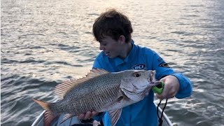 Mangrove MADNESS  Fishing the Noosa River [upl. by Draper]